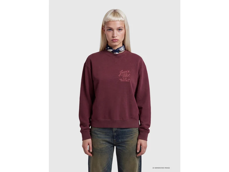 Felpa vintage con ricamo western