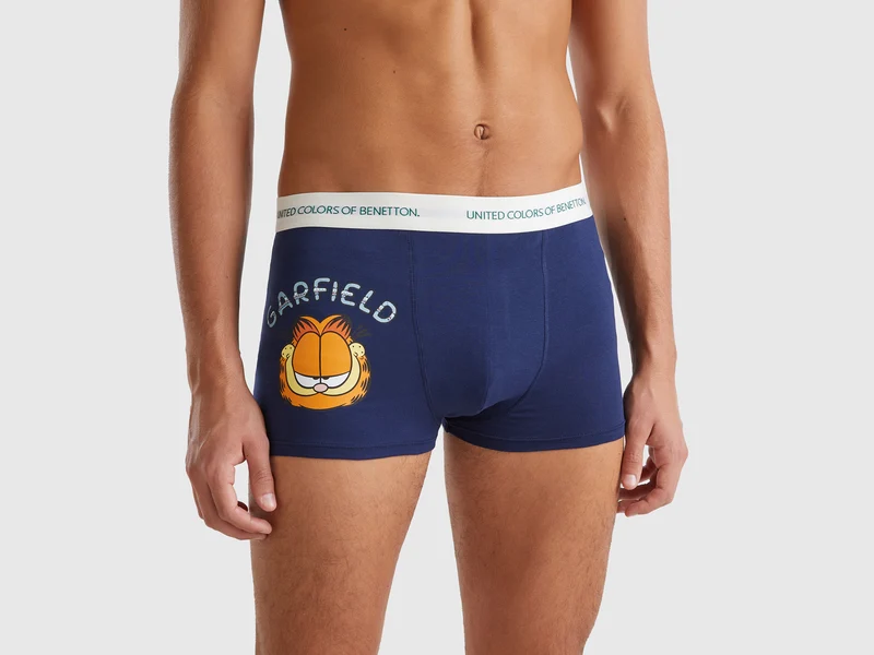 Boxer Garfield ©2024 by Paws, Inc.