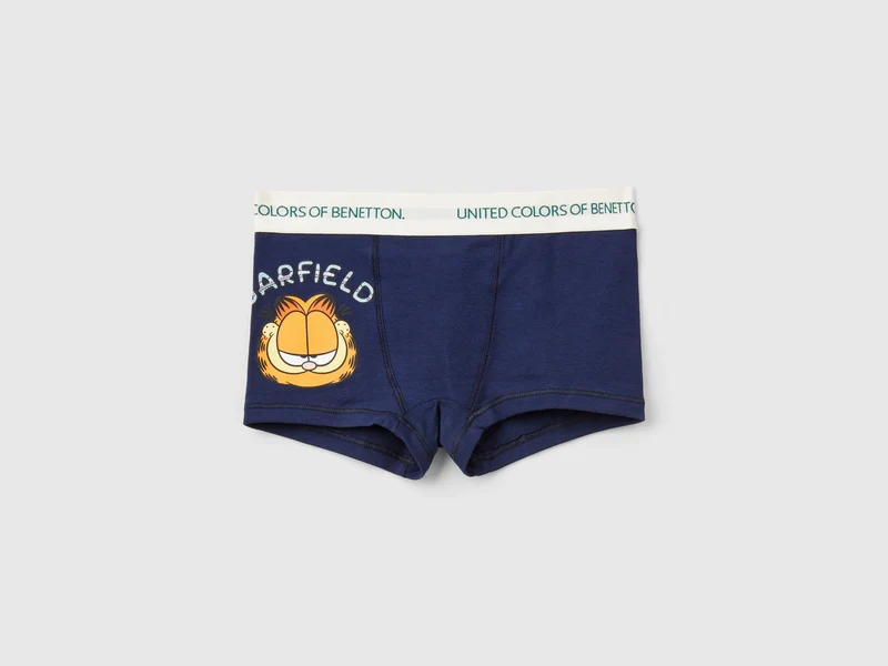Boxer Garfield ©2024 by Paws, Inc.