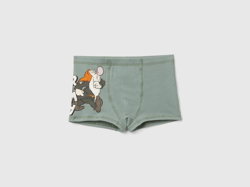 Boxer ©Disney Sette Nani