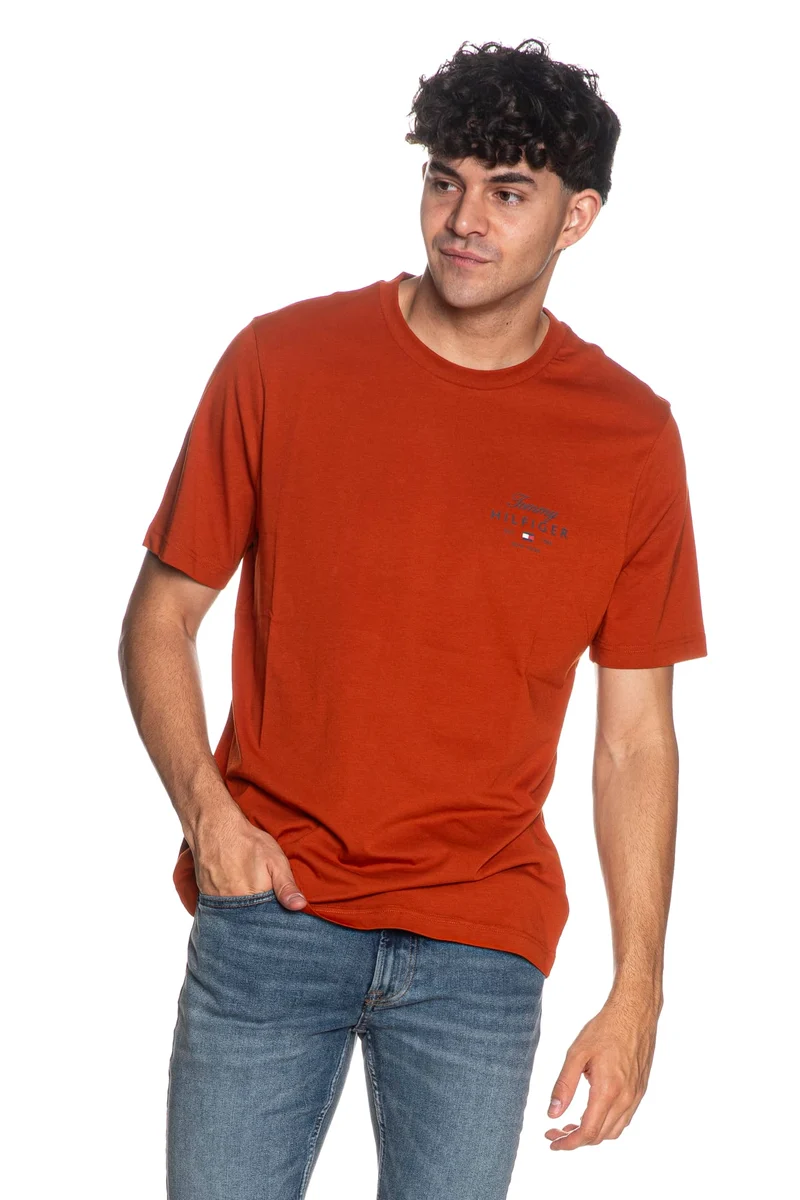 T Shirt Tommy Hilfiger Script Stack Reg Tee Da Uomo Ruggine
