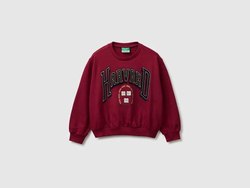 Felpa ©Harvard University