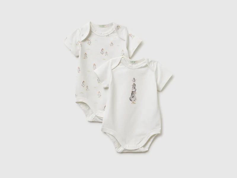 Due body in cotone bio stretch