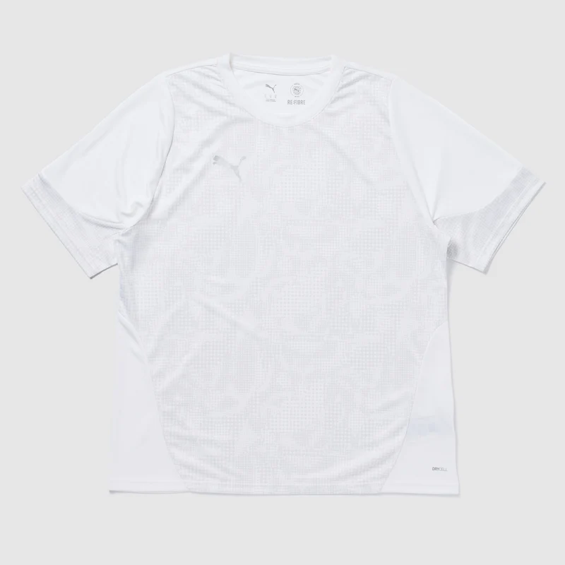 Puma teamCUP 25 Slim SS Training Shirt