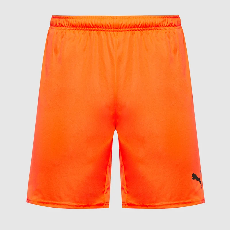 Shorts Puma teamGOAL 24
