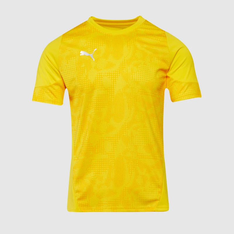 Puma teamCUP 25 Slim SS Training Shirt