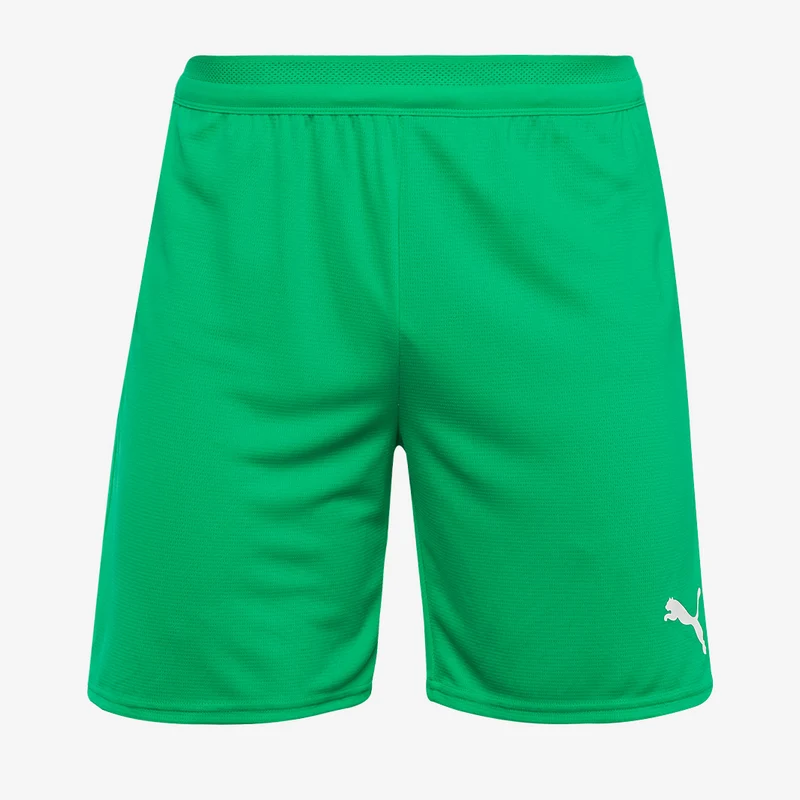 Shorts Puma teamCUP 25