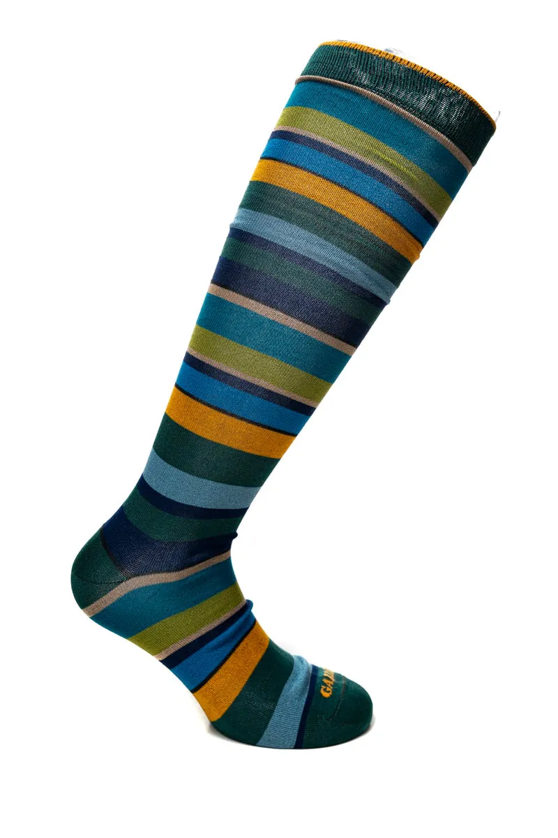 Calzino Lungo Gallo Long Striped Sock Da Uomo Righe Verde Eucalipto Royal In Filato
